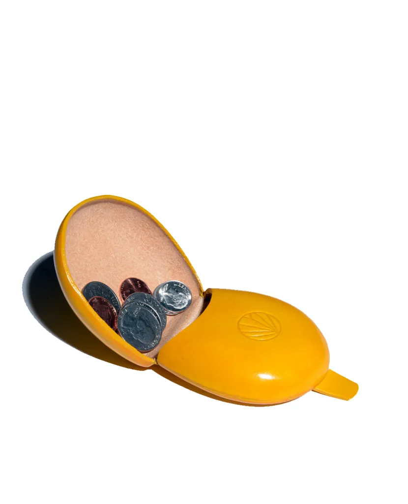 Yellow Coin Case